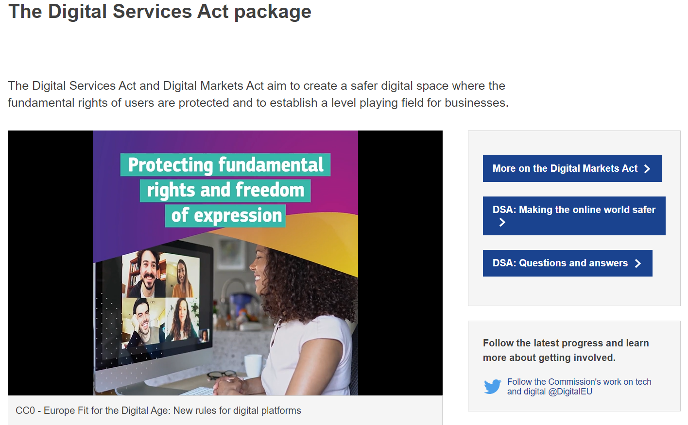 유럽연합(EU) 디지털서비스법 (DSA)
