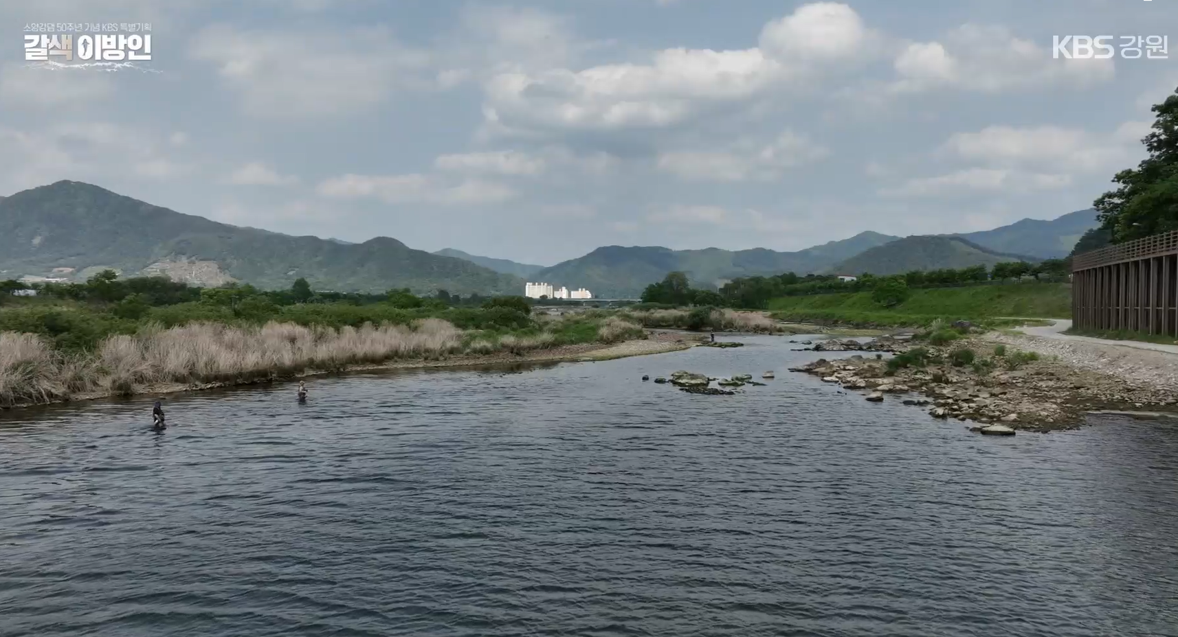 ‘브라운송어 낚시의 성지’가 된 강원도 춘천 소양강