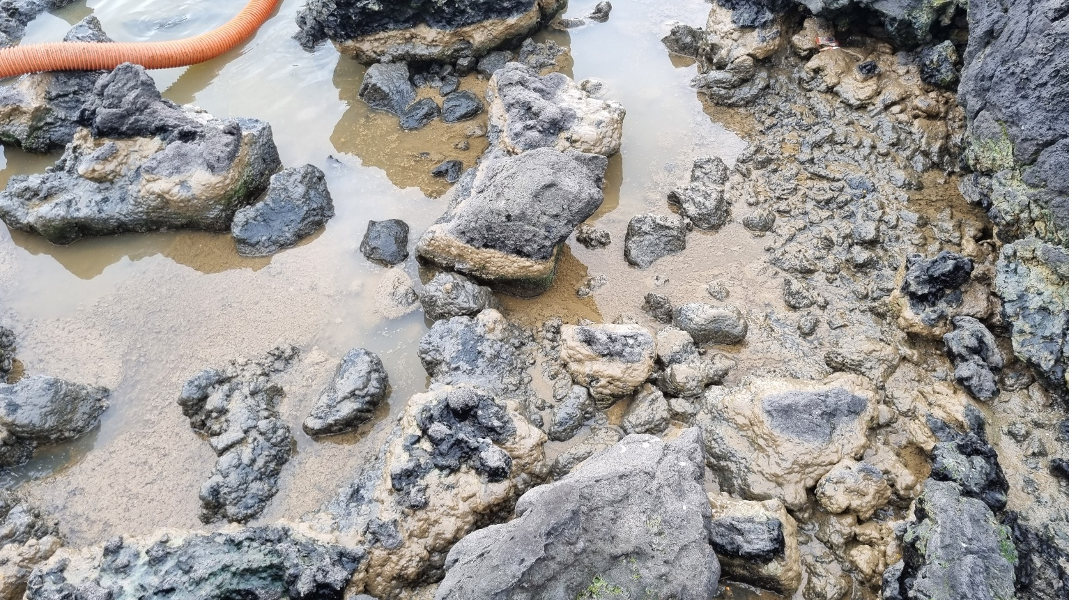 지난 5일 서귀포시 법환 인근 해안가에 오수 찌꺼기가 들러붙은 모습