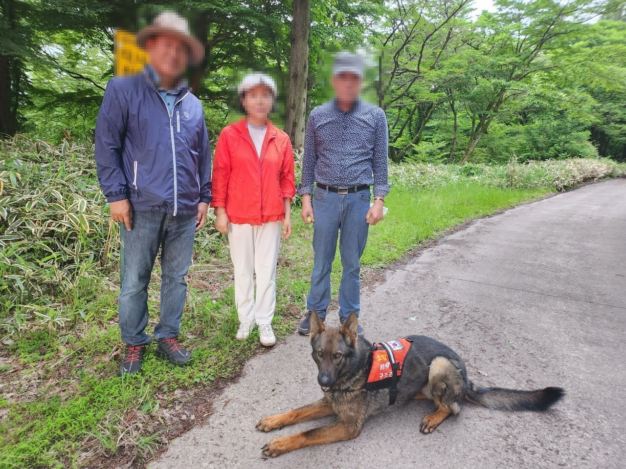 지난 5월 오름 등반객 구조한 119 구조견 (화면제공 : 제주도소방안전본부)