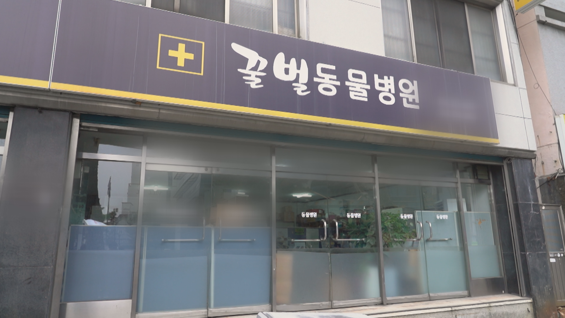 대전광역시 중구에 있는 ‘꿀벌동물병원’