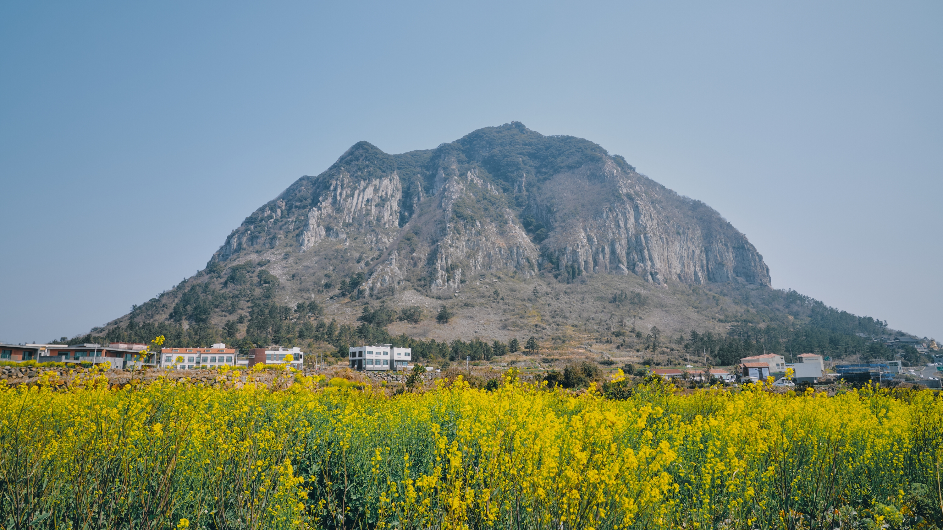 산방산 앞을 지나는 제주올레 10코스. 사단법인 제주올레 제공