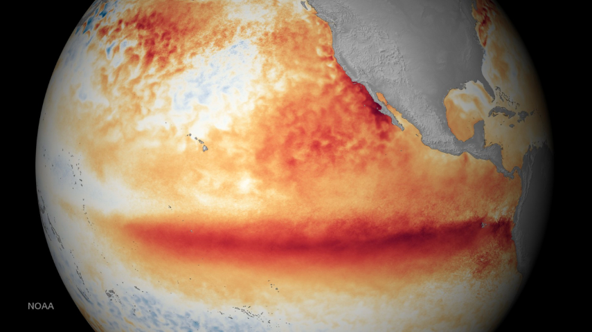적도 중·동태평양의 해수면 온도가 평년보다 높아지는 엘니뇨 현상.  출처 : 미 국립해양대기청(NOAA)