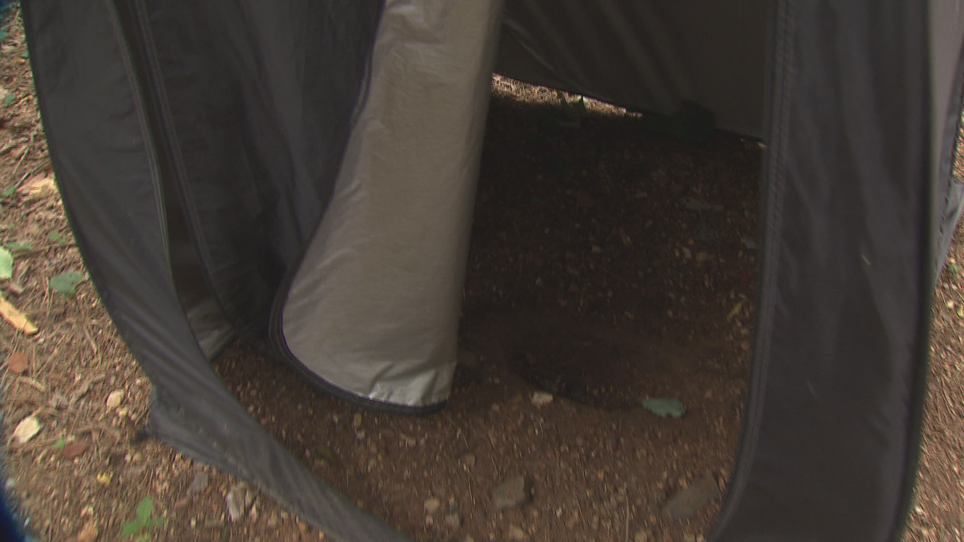유아 숲에 놓인 텐트 안 구덩이 모습