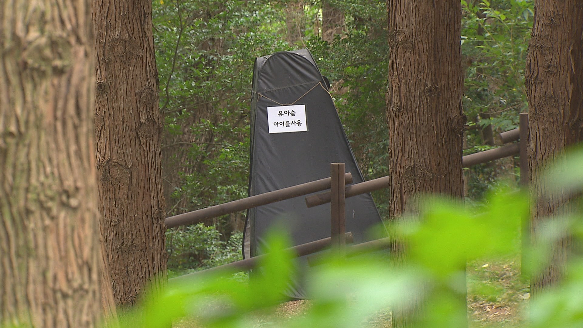 유아 숲에 세워진 검은색 텐트