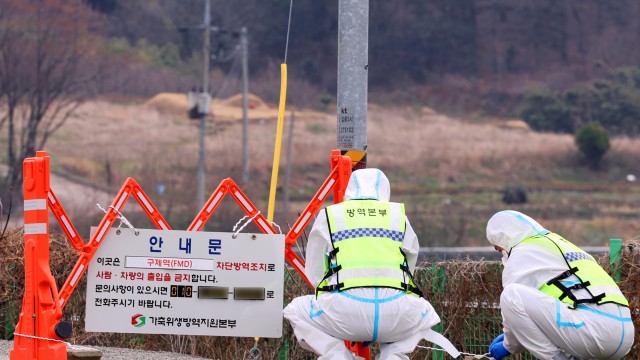 사진 출처 : 연합뉴스