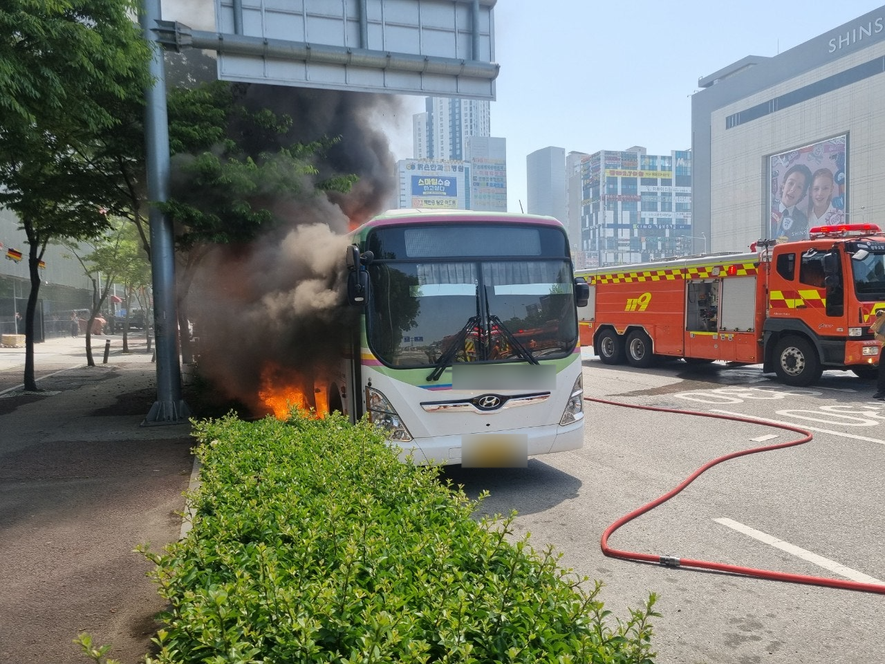 사진 제공 : 광주 서부소방서