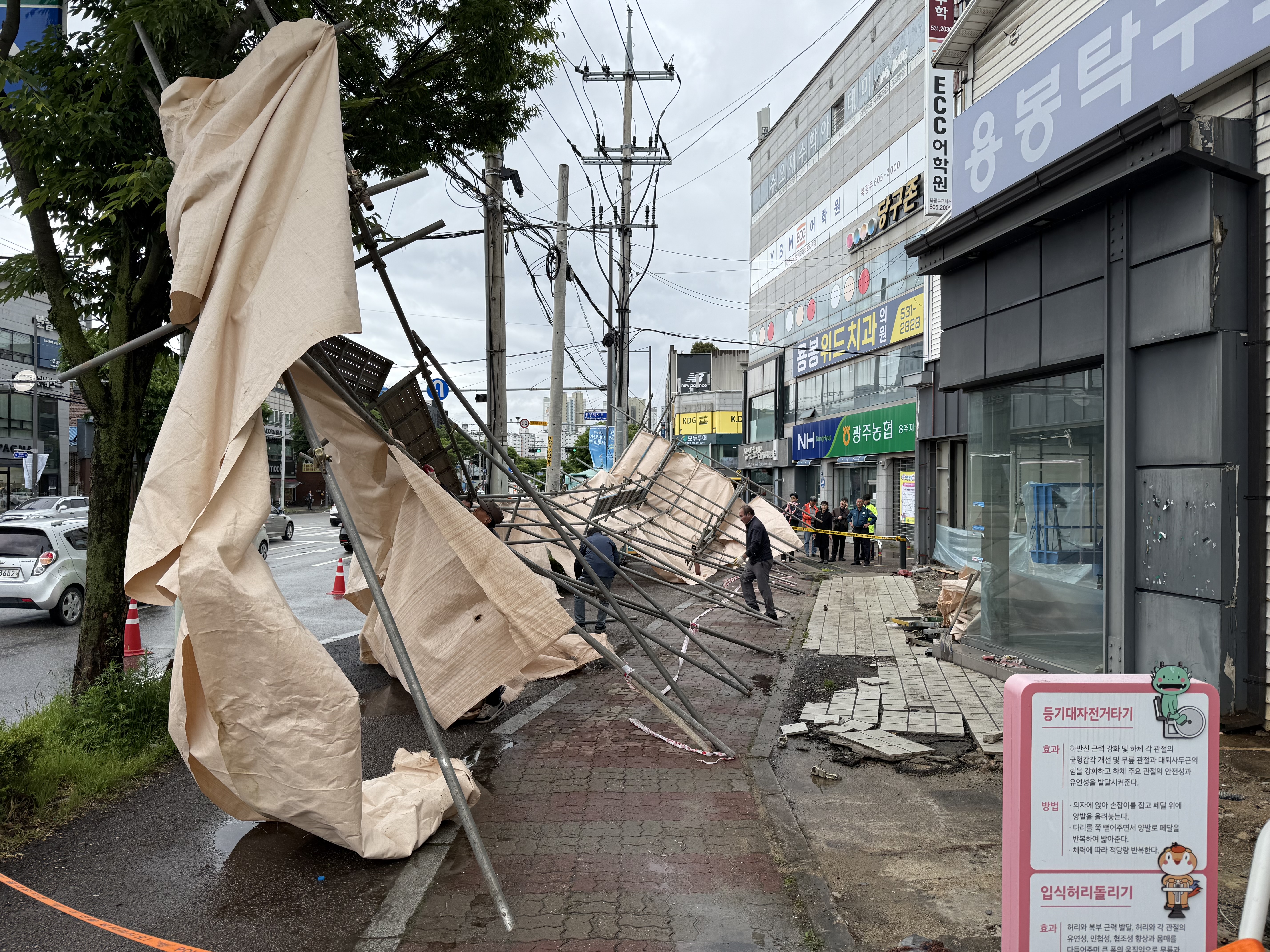 사진 제공 : 광주 북구청