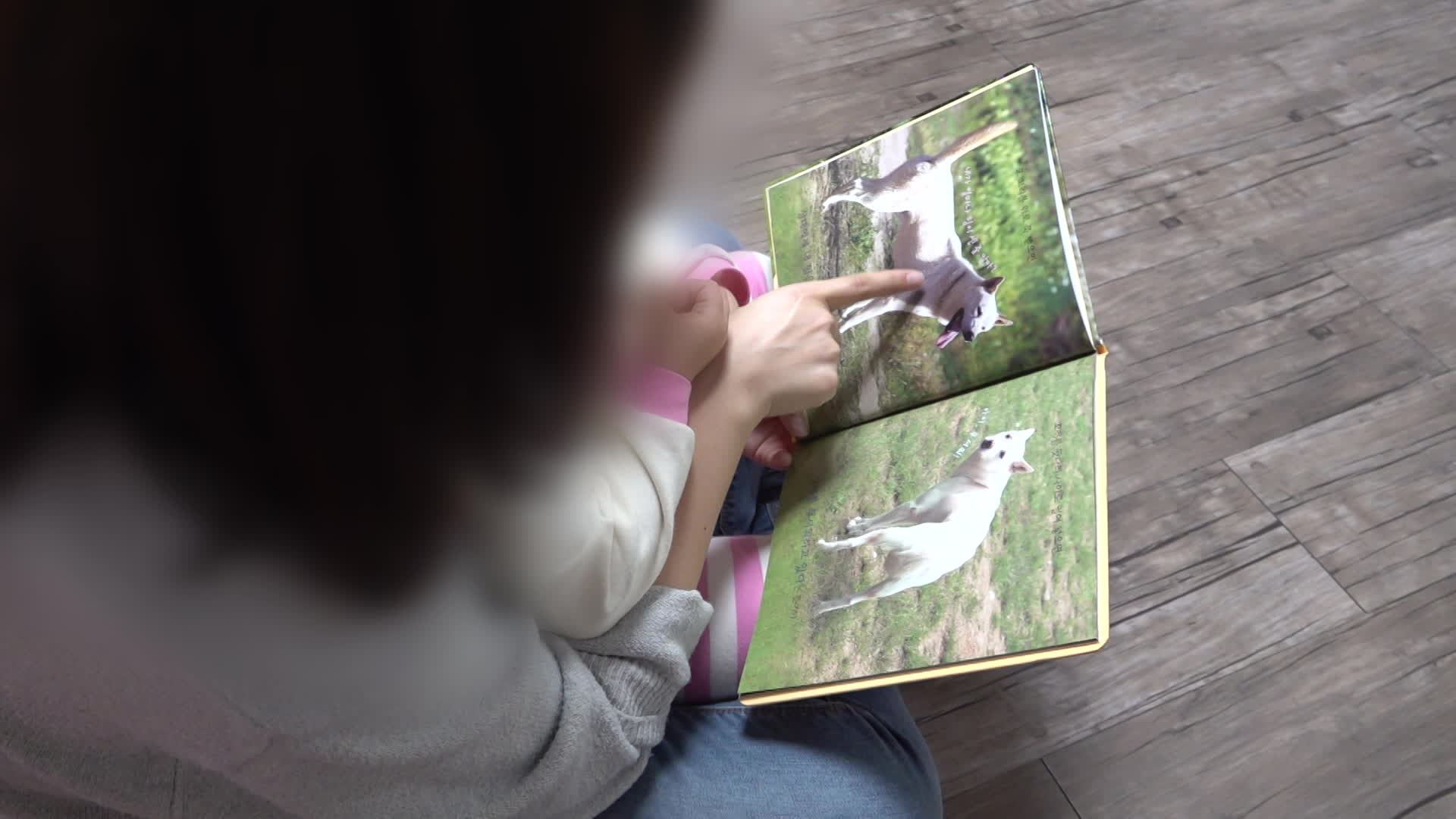 강제징수 피하려 양육비 ‘꼼수’ 입금?…선지급제 과제는