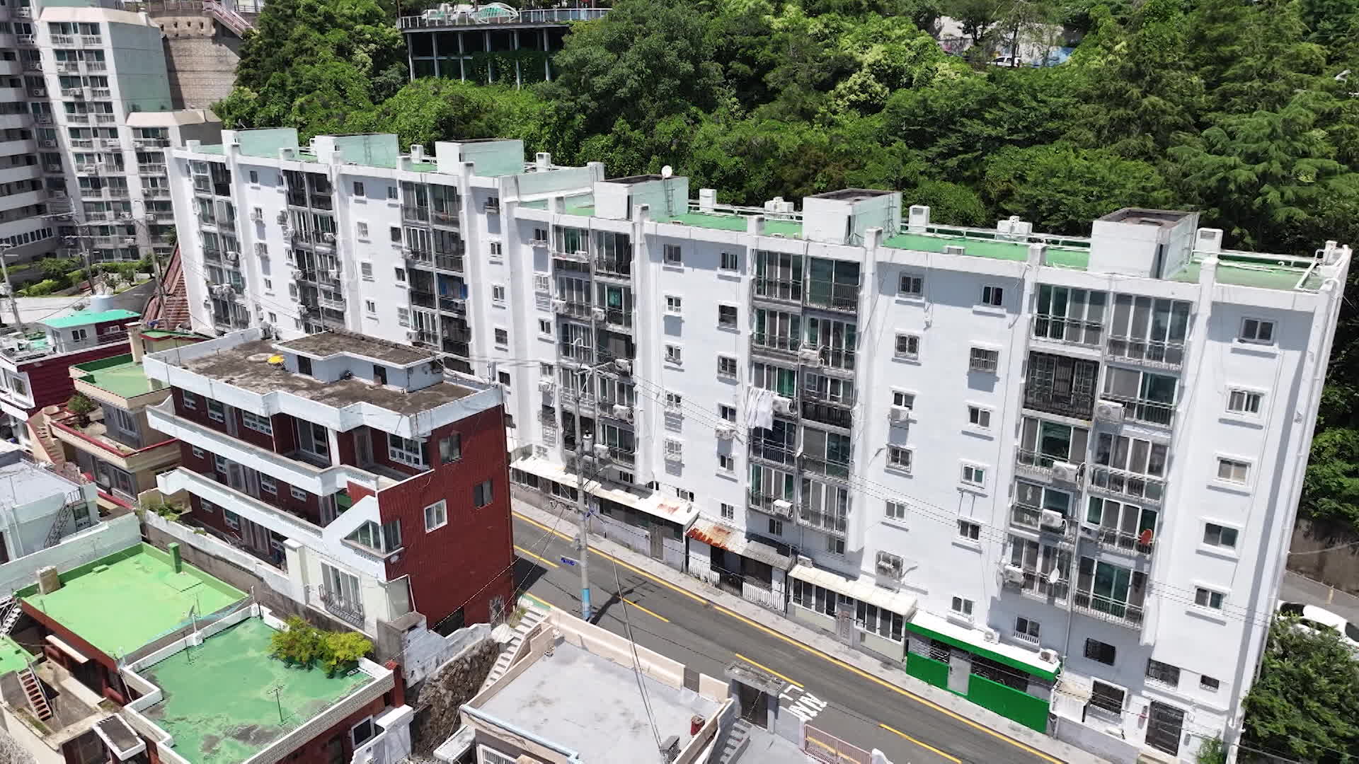 아파트에 ‘벼룩’이 수두룩…인근 숲 때문?