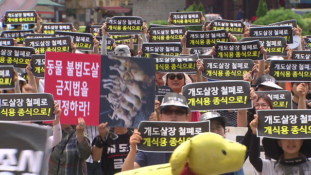 개 도살·식용 반대 서울 도심 집회