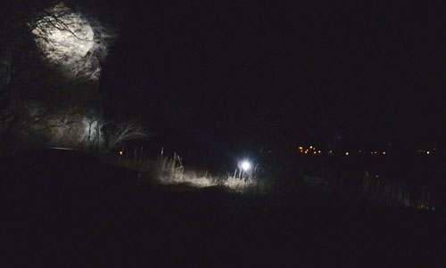 야간에 수리부엉이 둥지에 강한 조명을 터뜨리며 촬영하고 있다.