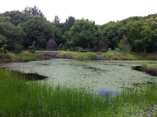 습지보호지역으로 지정된 동백동산 습지(2010). 람사르 습지 지정(2011).