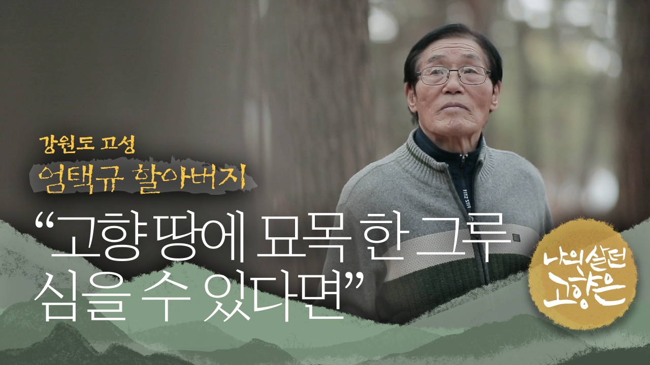 [이산70년기획]⑭ “금강산에서 봤던 적송 묘목 한 그루 북한 땅에 심고 싶습니다”