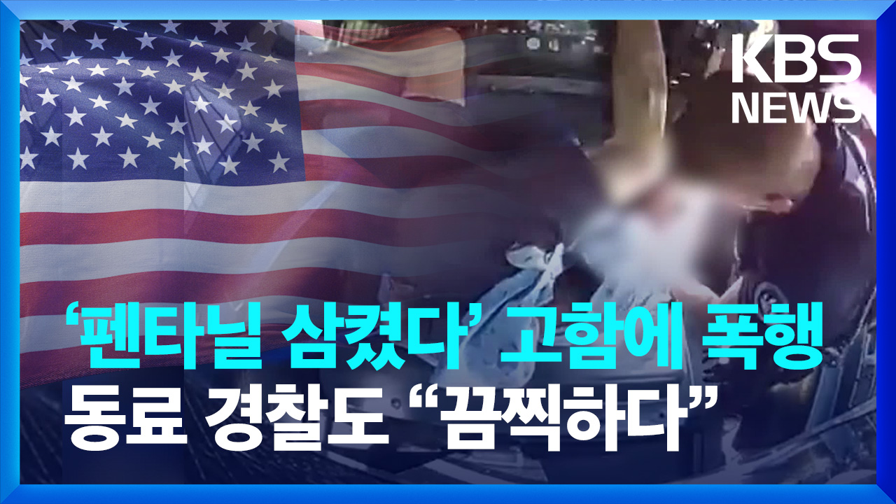 [영상] “펜타닐 먹었다” 고함에 폭행…동료 경찰도 “끔찍하다”