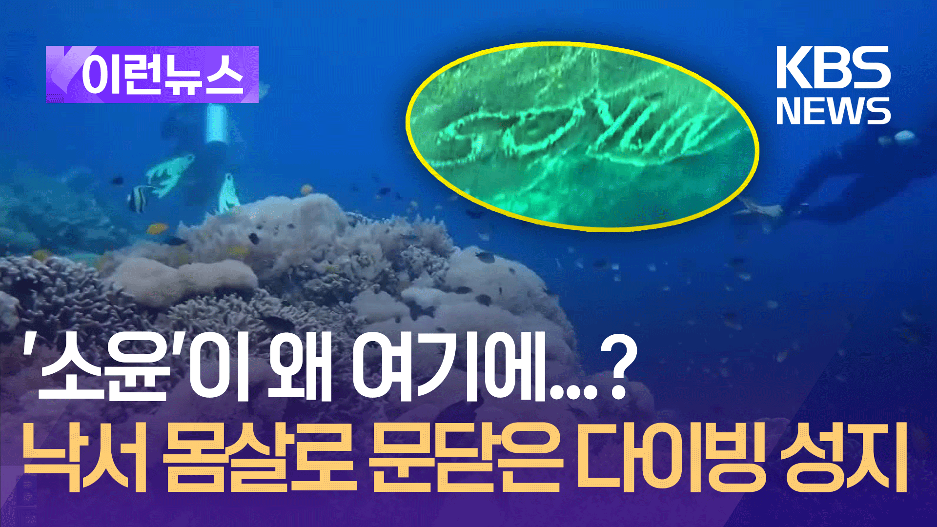 ‘소윤’ 한국이름 낙서에 필리핀 다이빙 성지 폐쇄 “법적 조치, 현상금”