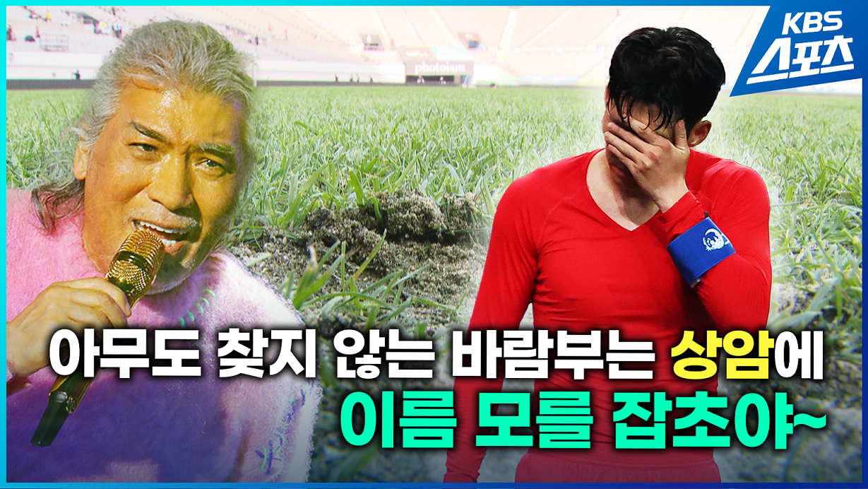 [영상] 아무도 찾지 않는 바람부는 상암에 이름 모를 ‘잡초’야~