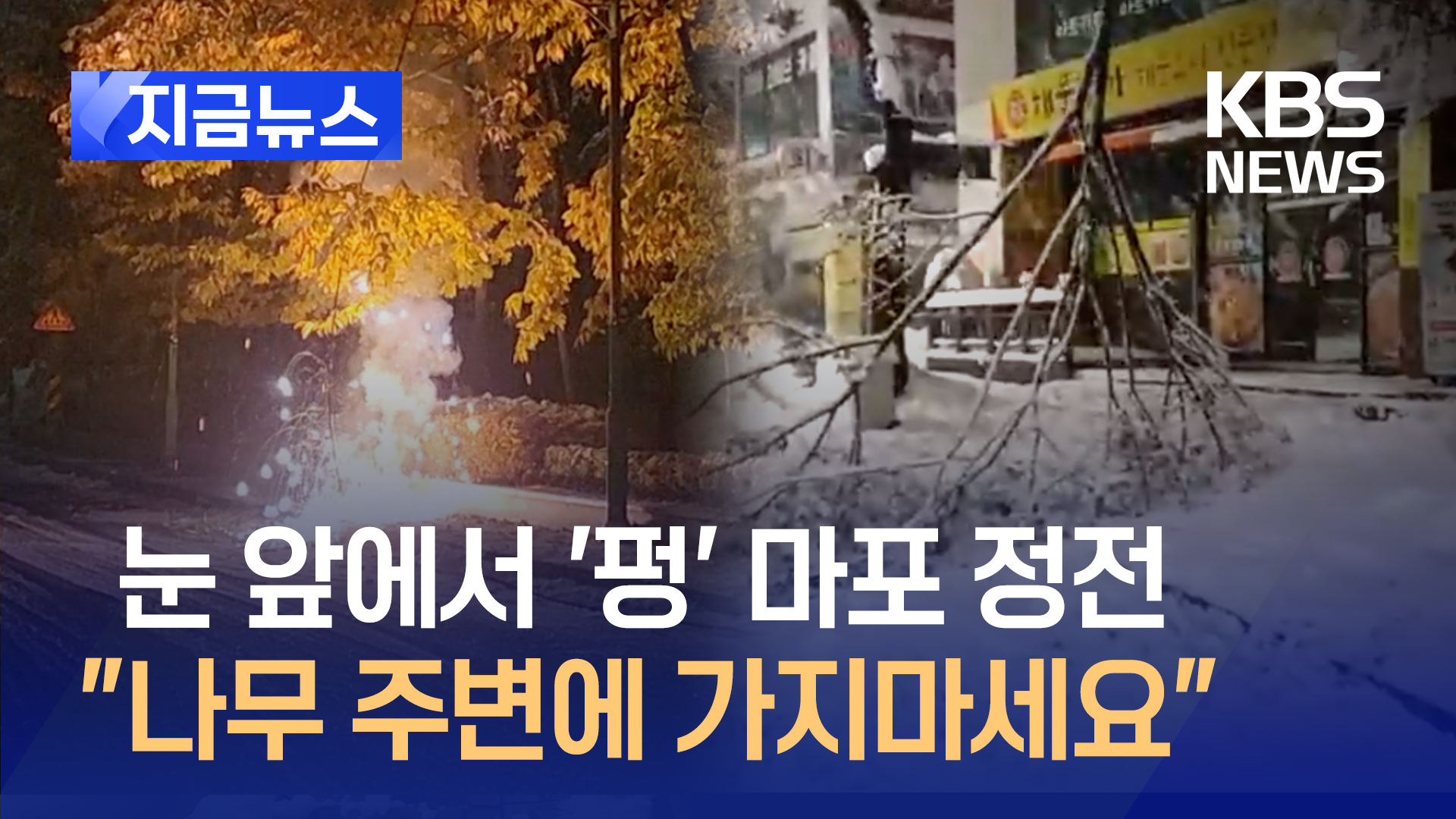 ‘펑’ 터지더니 마포 정전, 지붕 전체 무너진 안산 공장…폭설로 몸살 