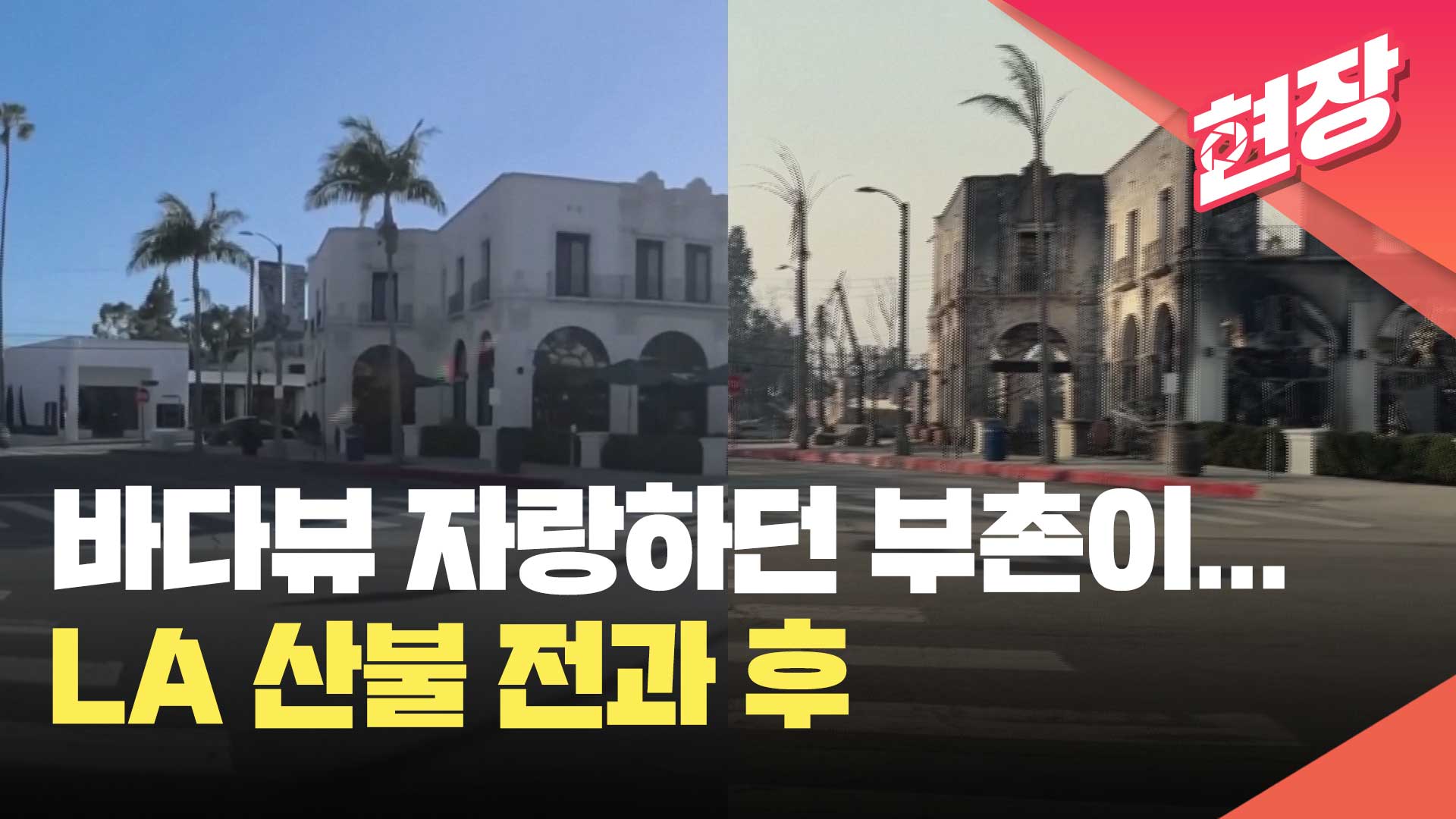 [영상] 드론으로 보는 LA 산불피해