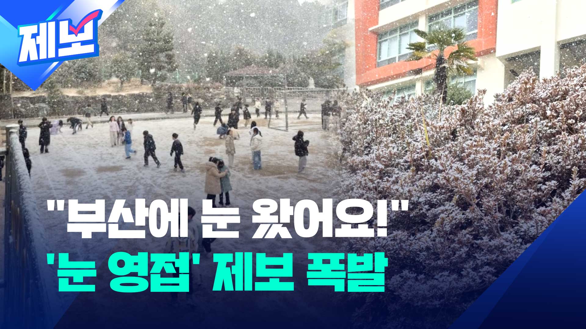 [제보] “부산에 눈 왔어요!”…시청자들 ‘눈 영접’ 제보 이어져