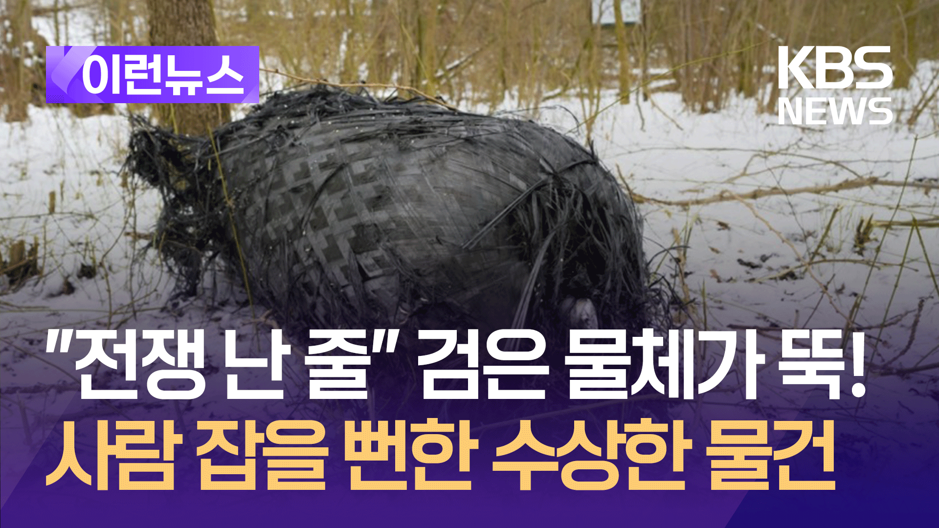 “전쟁난 줄 알았네”…평온한 마을 가정집 덮친 1.5m 검은 물체