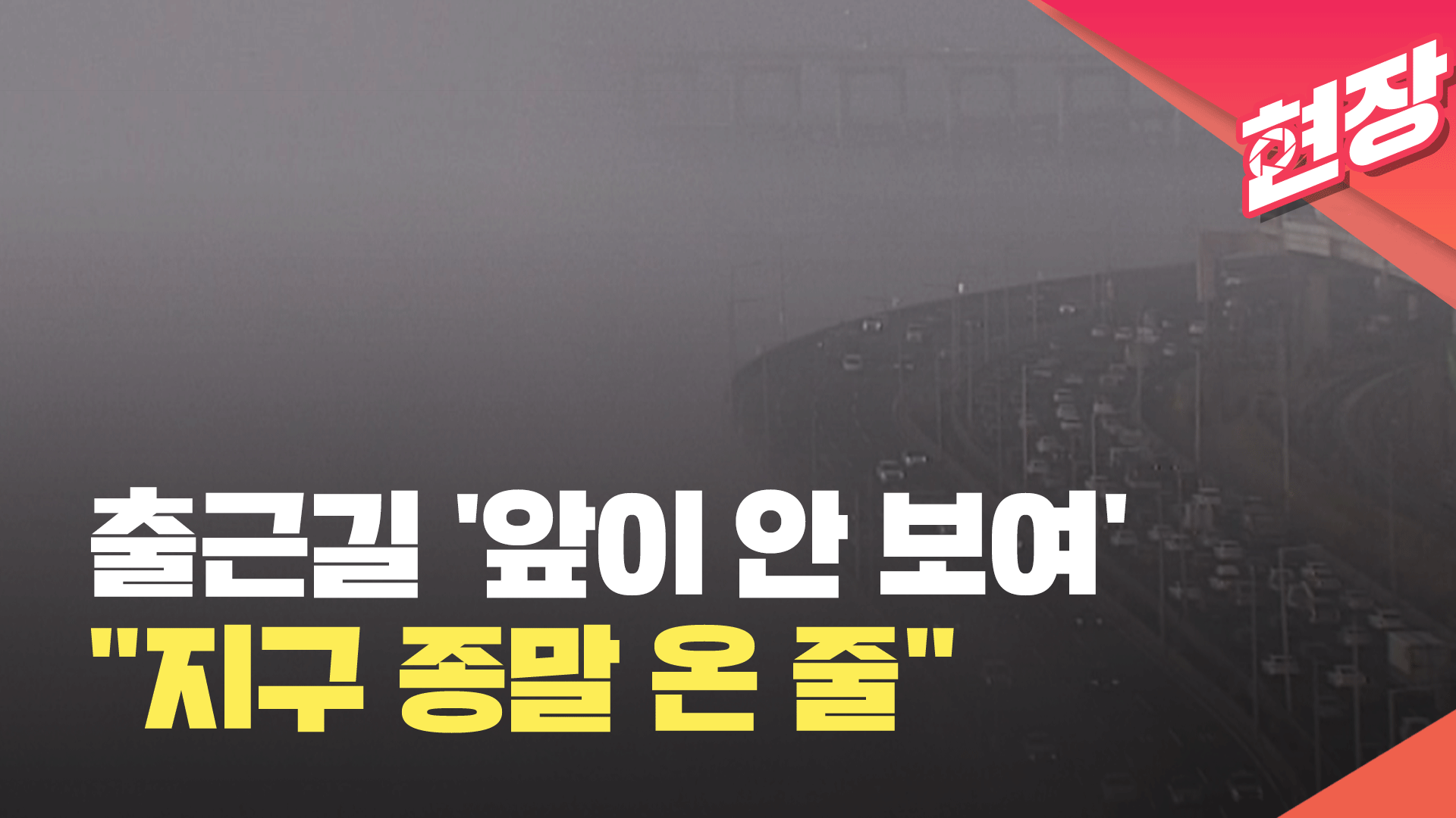 [영상] 출근길 안개에 ‘눈앞이 캄캄’…“지구 종말 온 줄” 