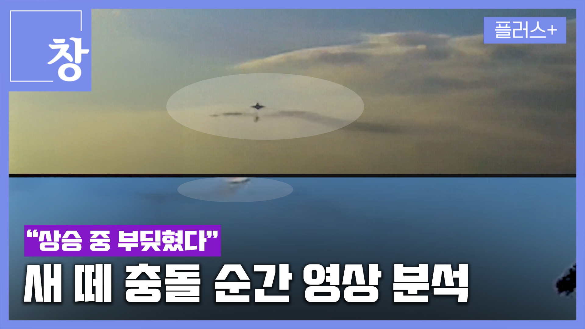새 떼 충돌 순간 영상 분석…“상승 중 부딪혔다”