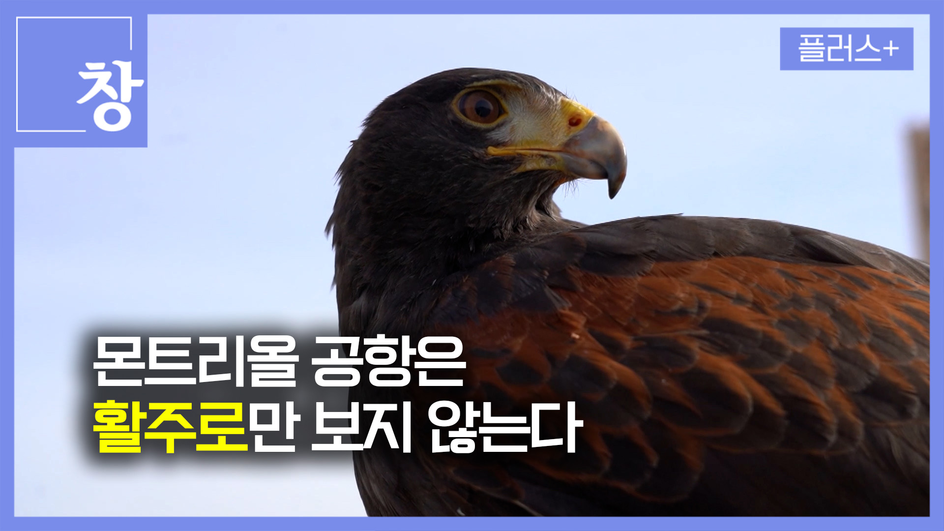 몬트리올 공항은 활주로만 보지 않는다