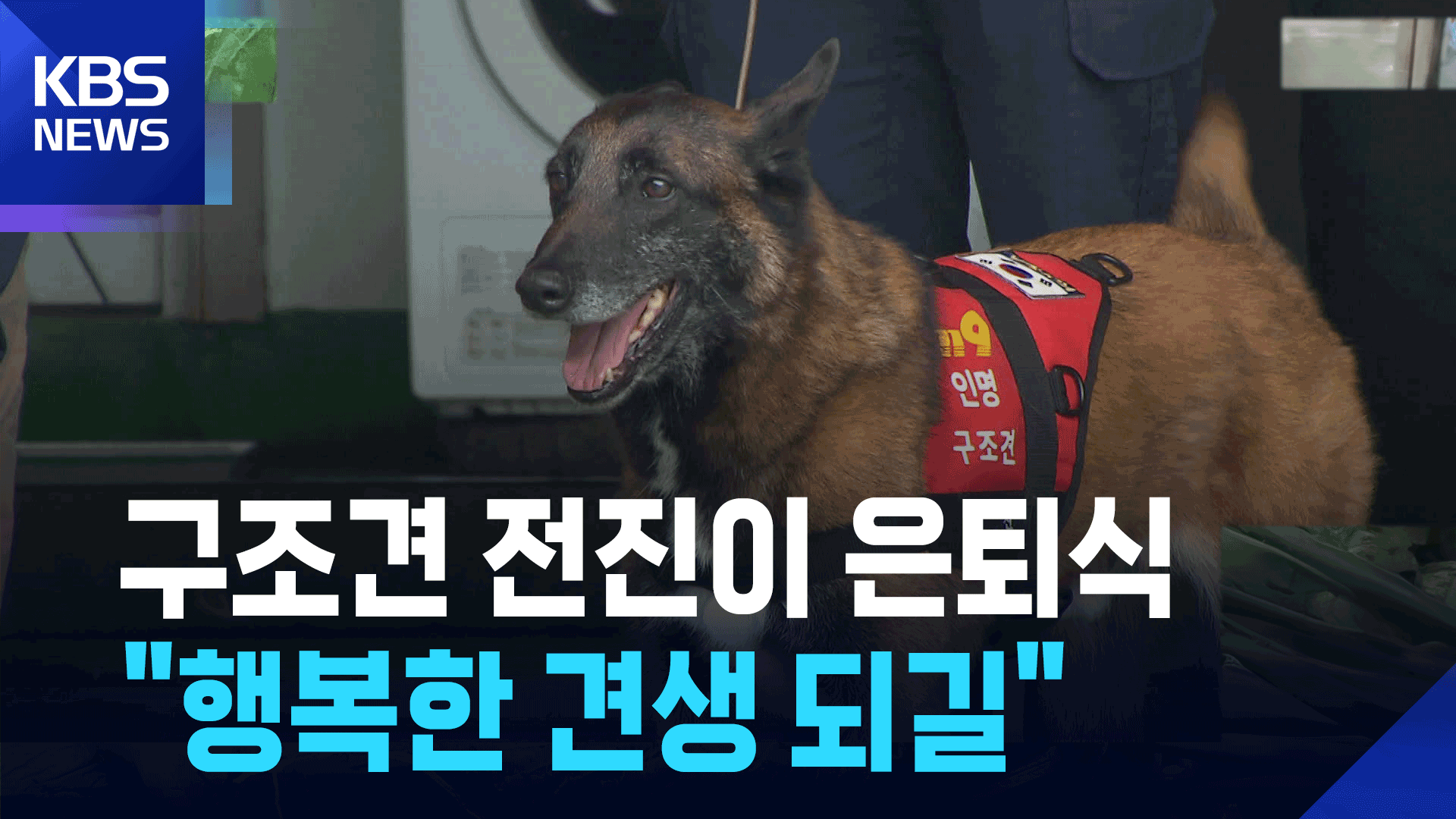 인명 4명 살린 구조견 ‘전진이’ 은퇴식…“행복한 견생 되길”