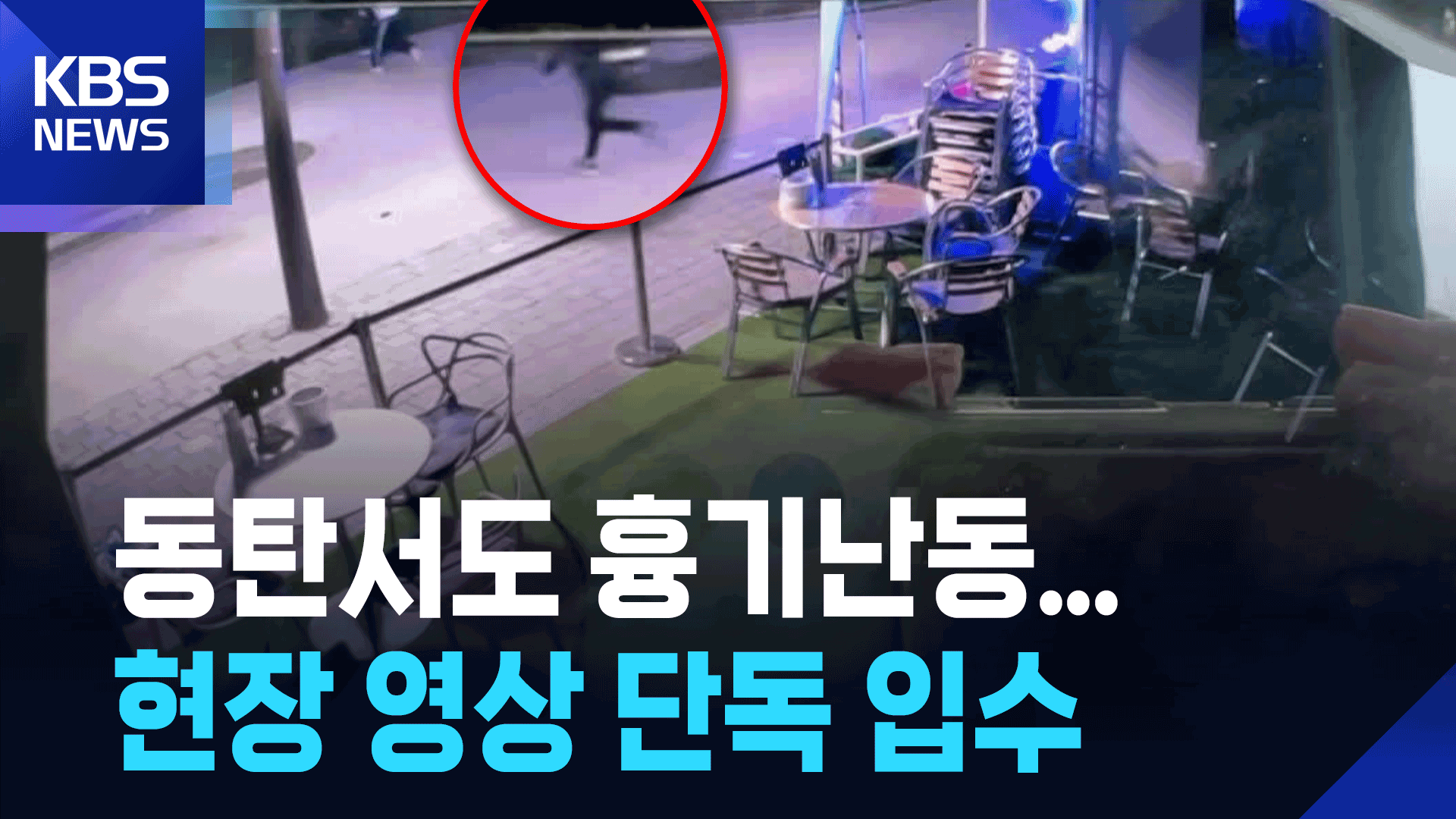 [단독] 동탄서 흉기난동 벌인 40대 중국교포 검거…“흉기 쥔 채 돌진”