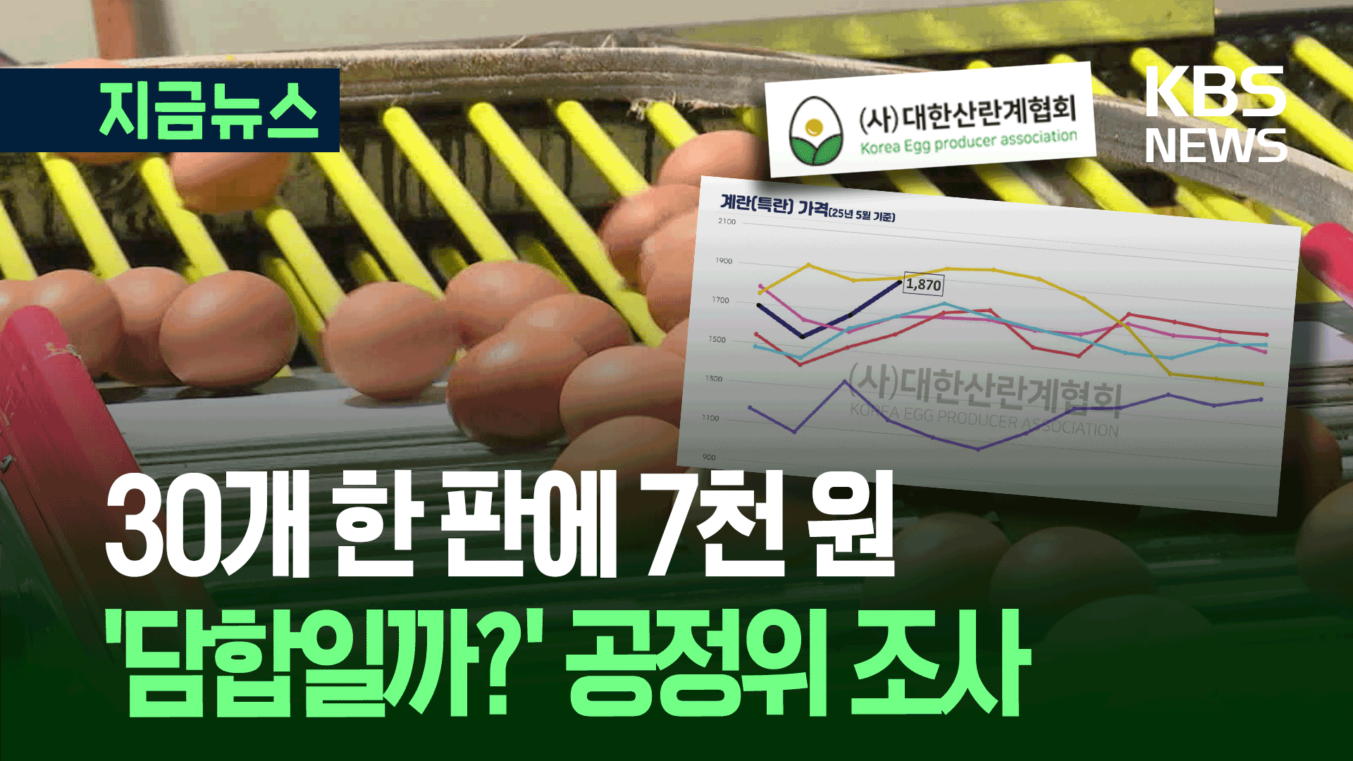 ‘계란 한판 7천 원’ 산란계협회 조사 나선 공정위