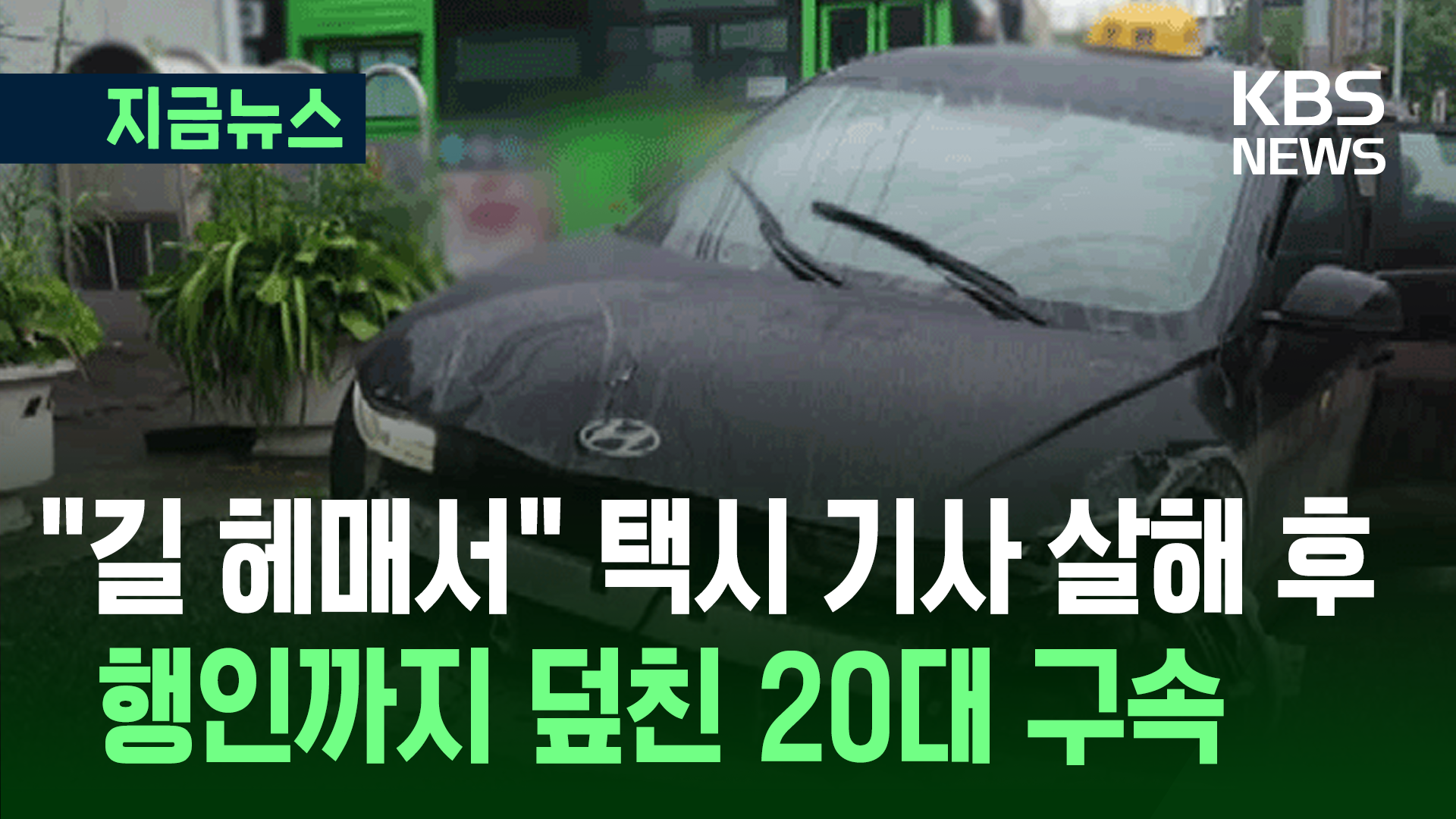 택시 기사 살해 뒤 행인 치고 달아난 20대 구속…“길 헤매서 시비 붙어”