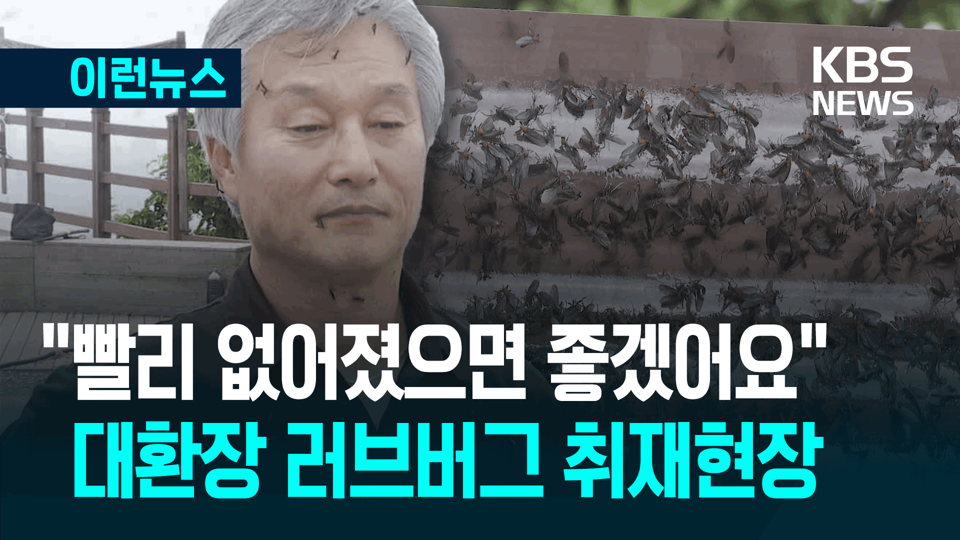 인터뷰하던 교수 얼굴에 갑자기…‘러브버그’ 취재 현장