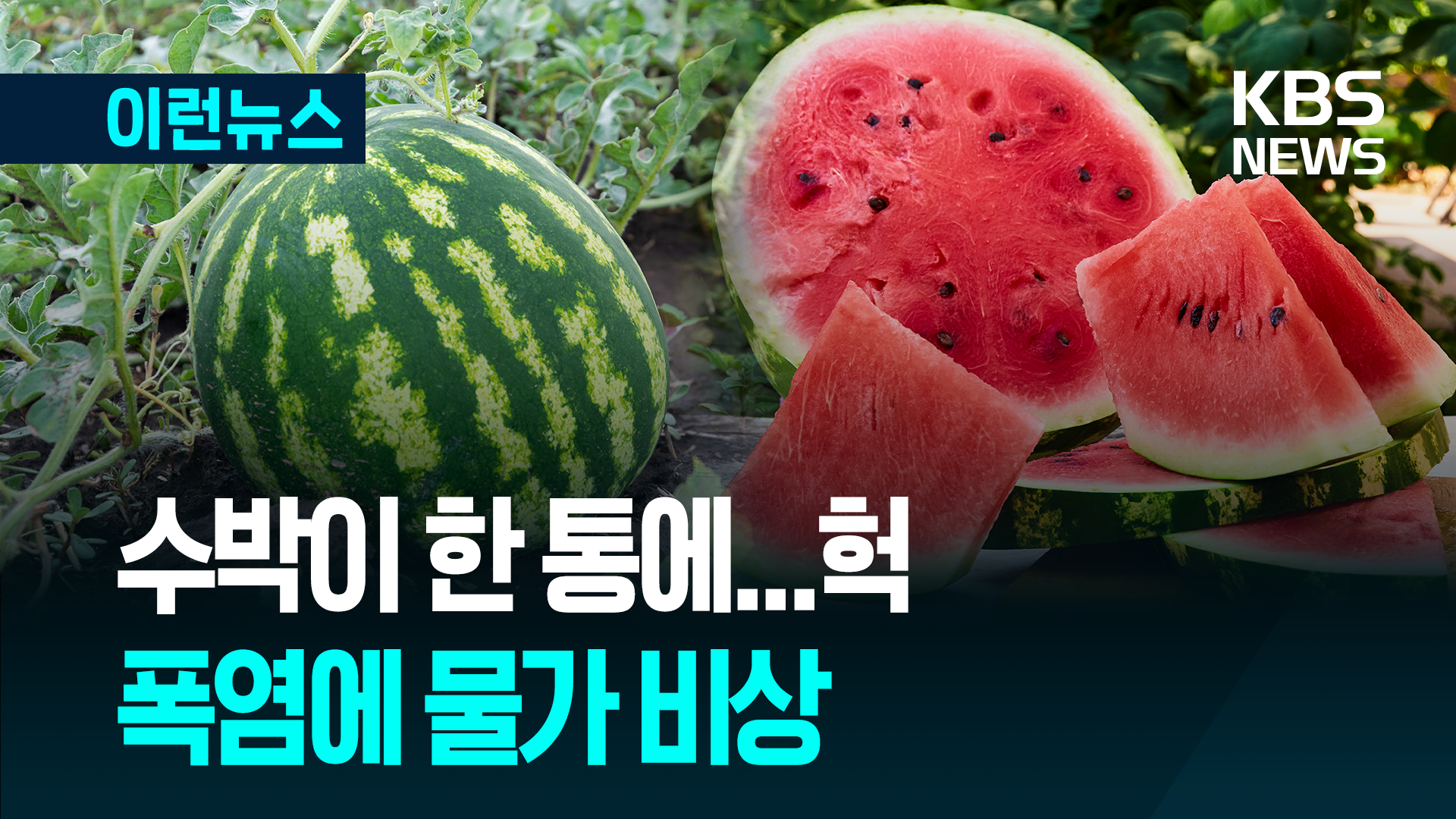 수박이 한 통에 얼마라고?…닭고기 값도 오른다