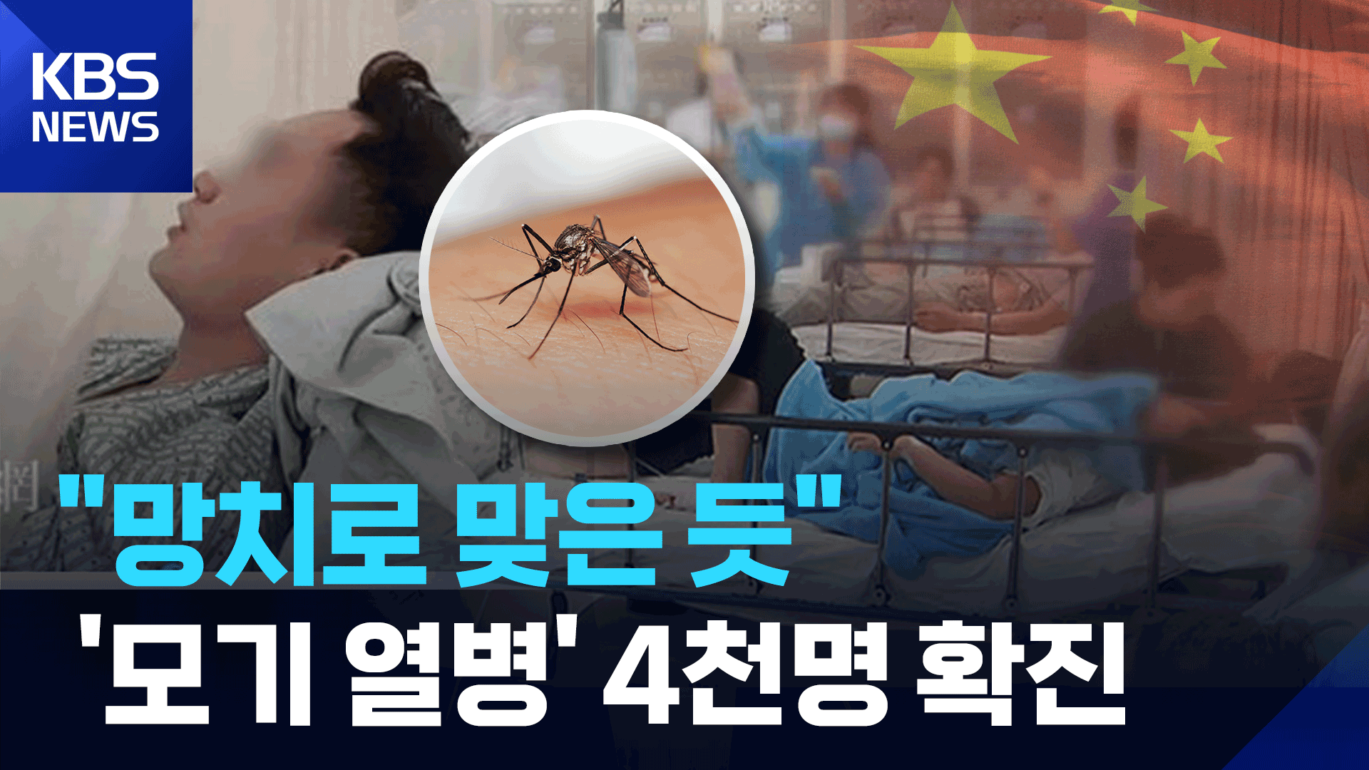 [영상] “망치로 맞은 듯”…중국서 모기 ‘치쿤구니야 열병’ 비상