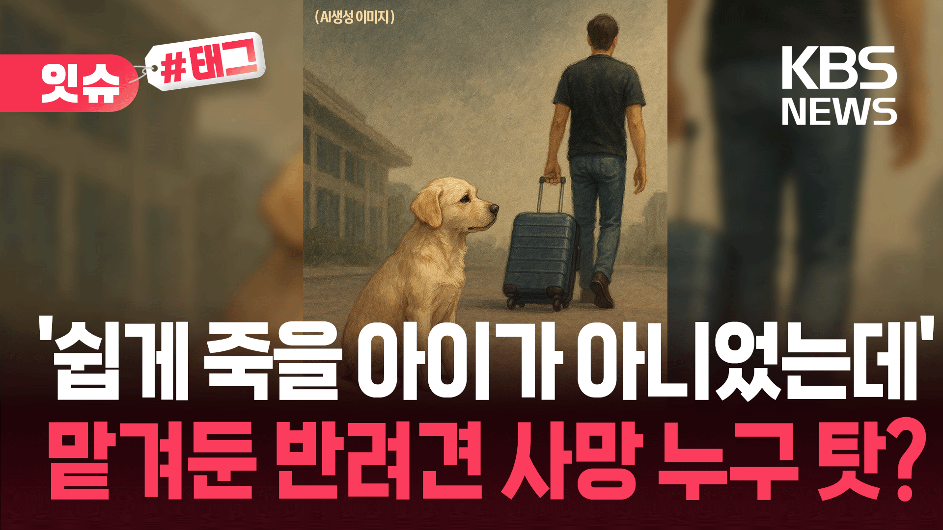 호텔 탓? 주인 탓? 해외 일정 중 사망한 반려견 논쟁