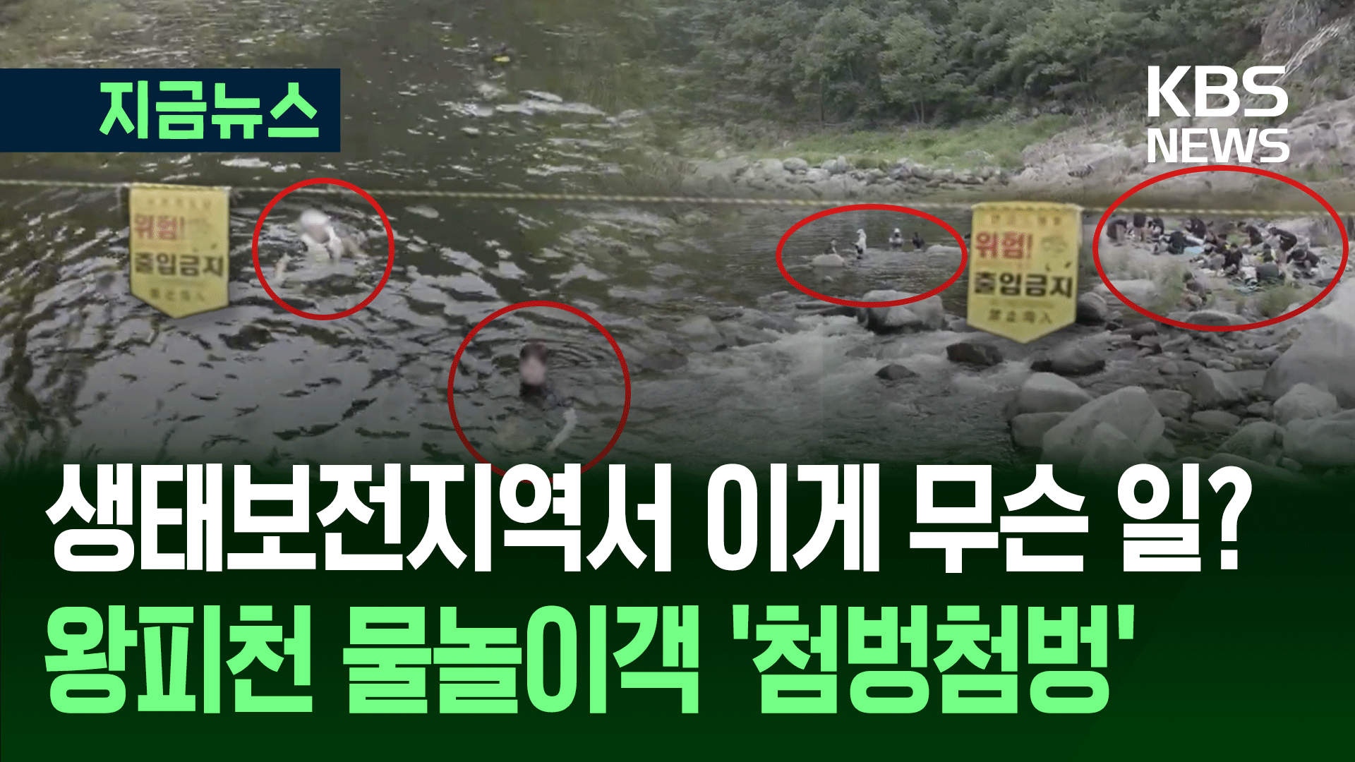 ‘멸종위기종 서식지’ 첨벙첨벙…“울진 왕피천, 피서객 천국됐다”