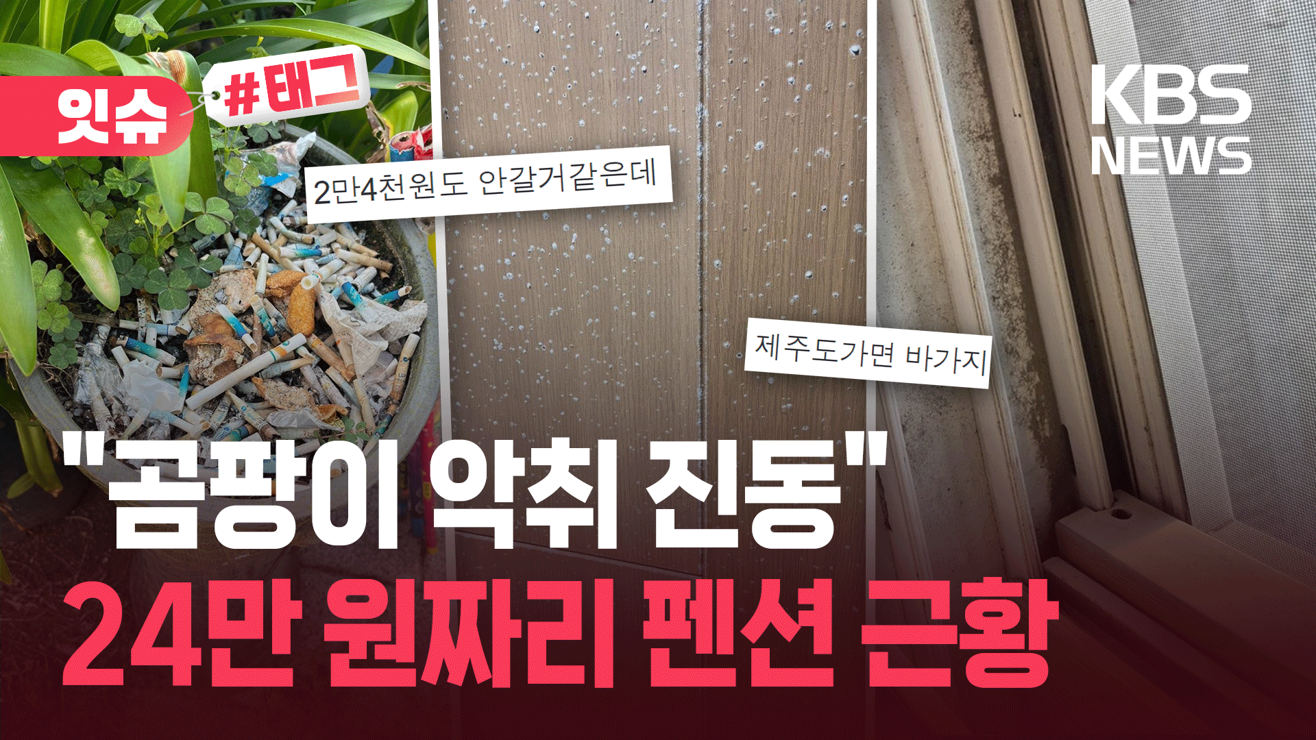 “1박 24만 원 제주 펜션에 곰팡내 진동”…업주가 내놓은 해명은?