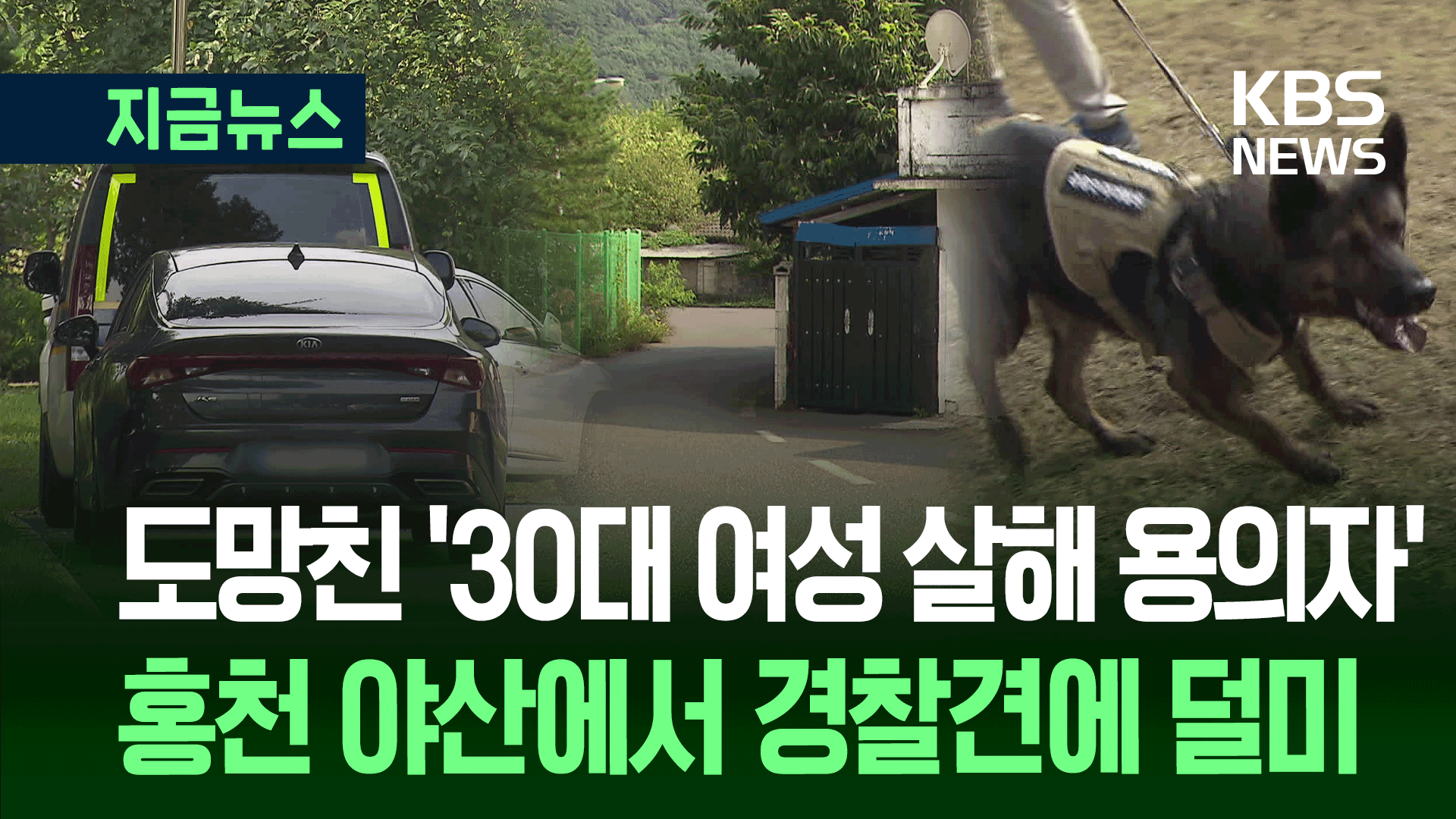 용인 30대 여성 살해용의자, <br>홍천 야산에서 잡혔다