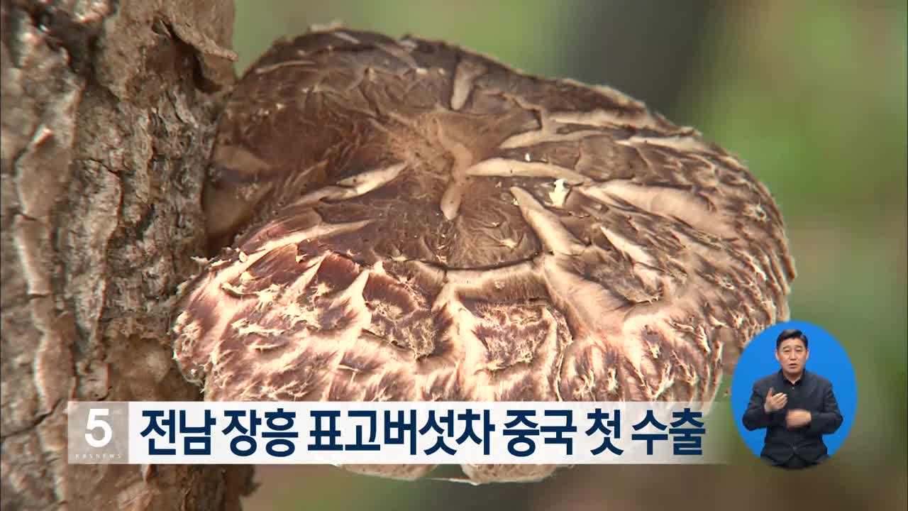 전남 장흥 표고버섯차 중국 첫 수출