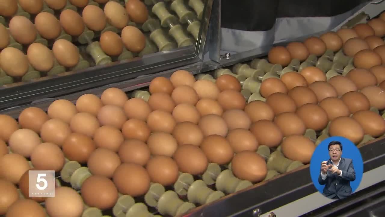 ‘살충제 달걀’ 부적합 농가 최종 49곳…이력시스템 도입