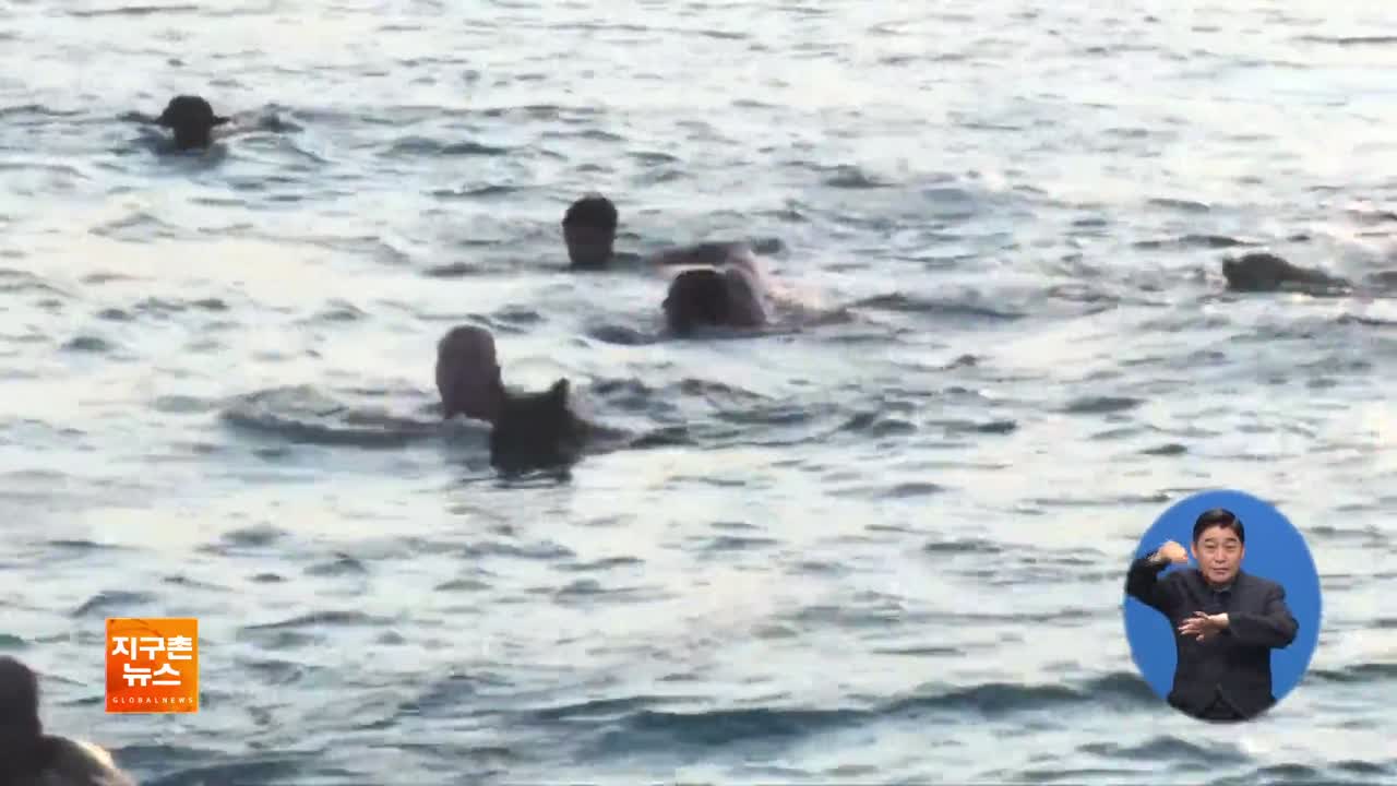 [지구촌 화제 영상] 크로아티아 견공 전용 해변 ‘수영 대회’