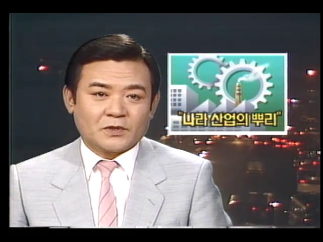 전두환 대통령, 중소기업은 나라 산업의 뿌리