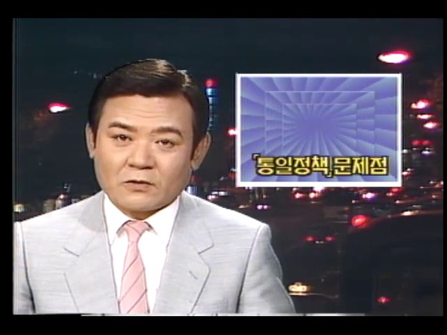 여야, 통일정책 논쟁