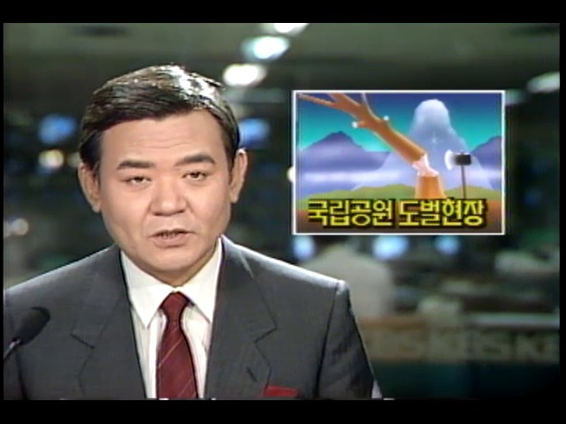 국립공원 도봉산 도벌 성행