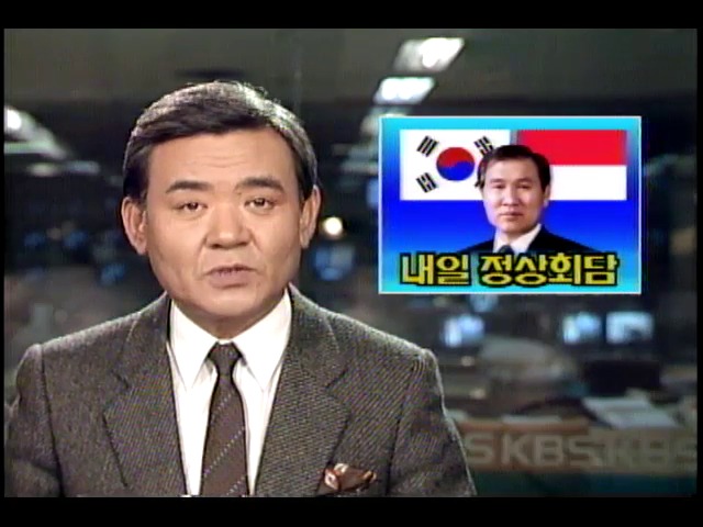노태우 인도네시아 방문