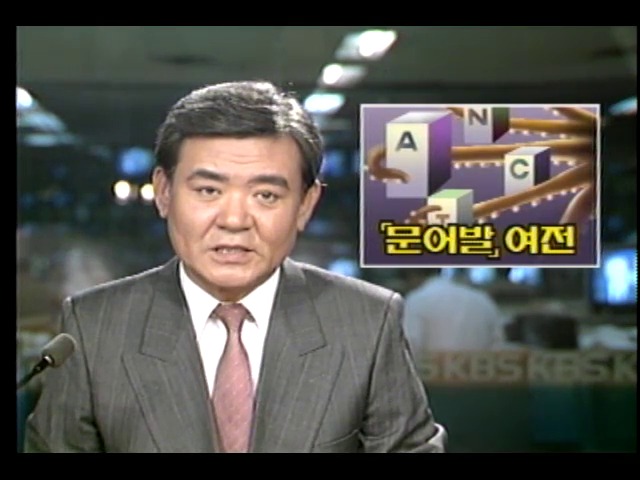 재벌기업 문어발 경영 여전