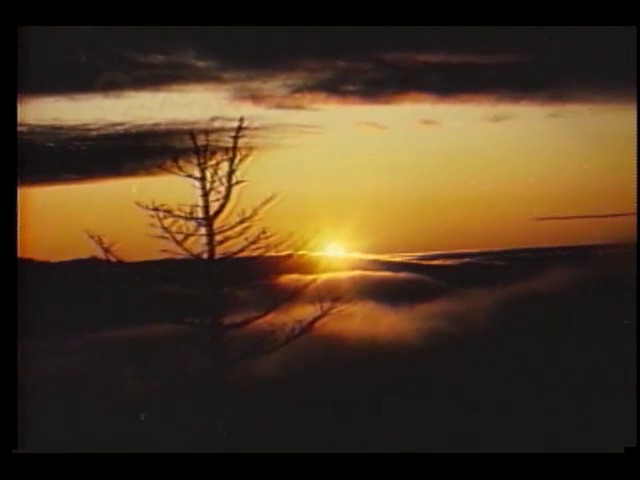 [9시 영상] 아름다운 자연