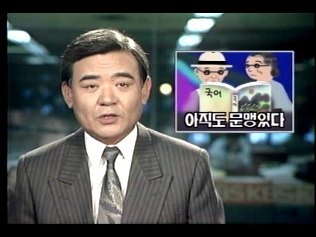 문맹, 아직도 있다
