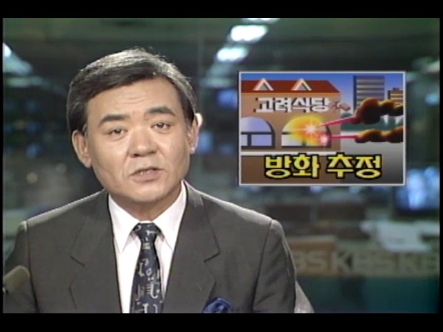 프랑크푸르트 교포식당 화재, 방화 추정